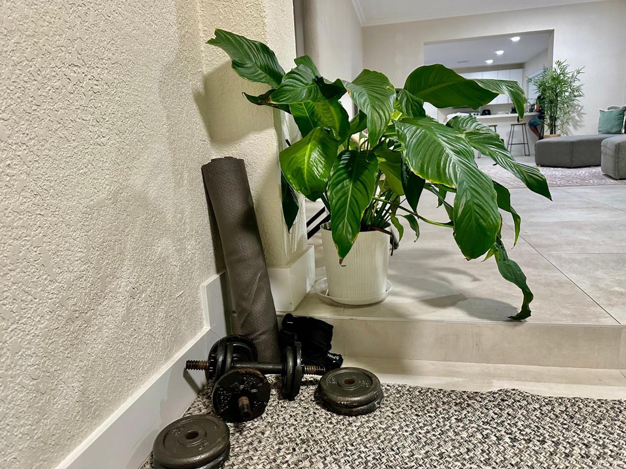 World Connect Miami旅舍 外观 照片